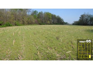 Property photo 30 - Land Auction 1035 Acres In 16 tracts - Farm Land - Sullivan Co. Indiana & Clark Co., Illinois